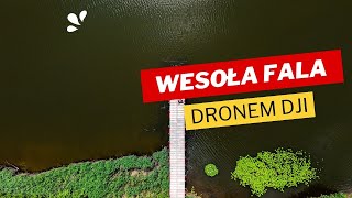 Wesoła Fala w Mysłowicach. Zobacz koniecznie!