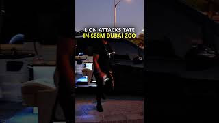 Lion Attacks Tate in $88M Dubai Zoo #shorts