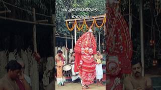 Theyyam Bhairavan | ഭൈരവൻ തെയ്യം |#theyyamkerala#theyyam#theyyamkali#shortsfeed#shorts