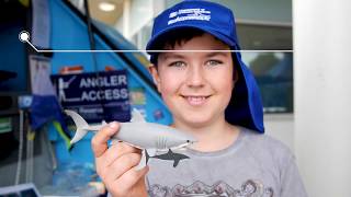 Shark week for Schools virtual excursion