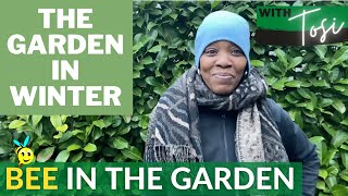 Winter Garden & Bee Keeping Update // Pruning Tips for Hedges