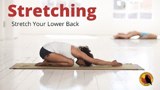 Stretch Your Lower Back - Lying T-Spine Mobility