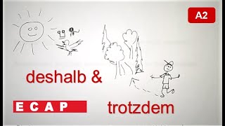 DESHALB – TROTZDEM (KONJUNKTIONEN, GRAMMATIK) A2