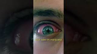 How Do Your Eyes React? Marijuana vs Cocaine vs Electricity Bills - A Comical Comparison! #shorts