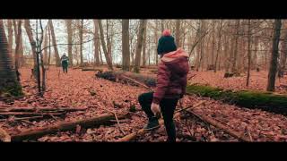 Sunday walk in the Forest,  Beautiful winter colours