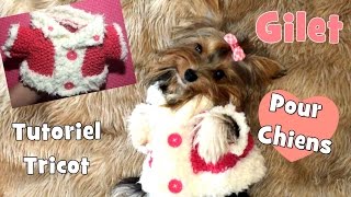 Tutoriel Tricot: Gilet pour petits chiens