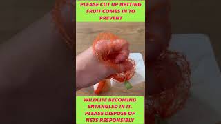 Please cut up fruit netting to protect wildlife