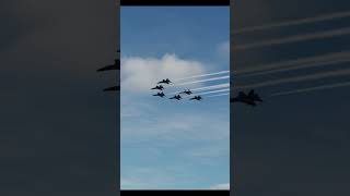 BLUE ANGELS F18 FLYBY!! #f18 #dcs #shorts #milsim #gaming