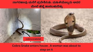 Women accidentally stepping on deadly Baby #cobra #venomous #snakebite #viralvideo #trending #big4