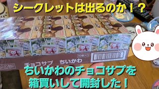 【ちいかわ】7月22日発売のチョコサプを箱買いして開封した！