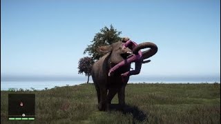 All Animals vs Humans (Far Cry 4)