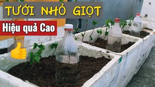 #56 Tự Làm bình tưới nhỏ giọt | chỉ cần 2 phút chuẩn bị, dễ làm và hiệu quả cao