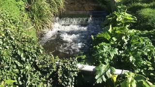 Gentle Water Stream Sounds | Relaxing Water Stream Sounds For Relaxing