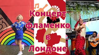 Концерт Фламенко в Лондоне!!! С латиноамериканской и испанской едой, напитками и культурой