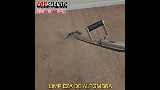 Limpieza de Alfombra en Hialeah Gardens 305-631-5757