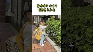 강아지와 아기의 공통점 3가지!!