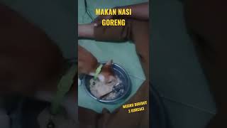 kucingku rebut nasi goreng #kucing #kucingcomel #kucinglucu #kucingimut #kucingoren #kucingkampung