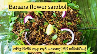 කෙහෙල්මුව බැදුම|KESELMUWA BADUMA| Banana flower sambol