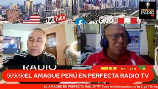 EL AMAGUE EN PERFECTA RADIOTV