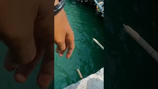 Mancing lah....mumpung libur💪💪#vidioshort #mancing #viralvideo