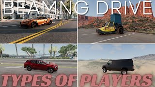 Different Types of BeamNG Players