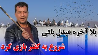 عبدالباقی سلطانی بلاخره شروع به کفتر بازی کرد؟/022Afghan Shawqi