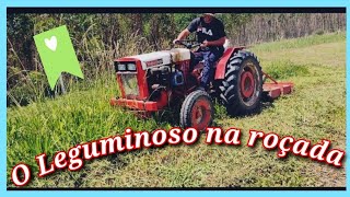 Agrale trabalhando com a ROÇADEIRA