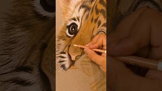 Scratching of pastels on a paper sound😍 ASMR