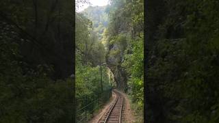 #viral #fypシ #shortvideo #nature #beautiful #fypシ゚viral #foryou #shorts #short #forest #railway #fyp