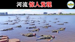 岸边布满的死尸吓坏科学家！染上十死无生的恐怖寄生虫，竟有99%的人都接触过它？丨地球之最#冷知识 #排名 #世界之最#惊人画面#惊人景象#惊人发现#世界之最top#top10