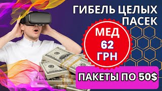 Гибель пасек. МЕД по 62 грн. Пакеты по 50$.