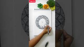 Illusion Art video #shorts #illusionart #drawing