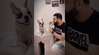 Pagal boy vs dog the funny 😱😃