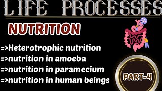 10th class biology 1st chapter life processes clear explanation part 4 SMR sir channel