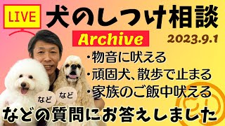 犬のしつけ相談ライブ☆ゲリラライブ 【アーカイブ 2023/09/01】