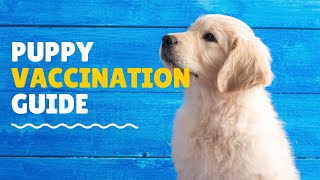 Shots & Treats: The Ultimate Puppy Vaccination Guide