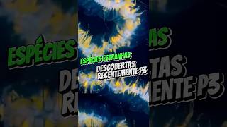 Espécies estranhas descobertas recente p3 #vidaselvagem