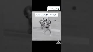 اكثر لقطات تخليك عصبي 😡🥵😒