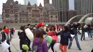 Pillow Fight Toronto 2016