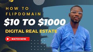 Domain Flipping: The Ultimate Pro Step-by-Step Guide to Making $1000 Quickly