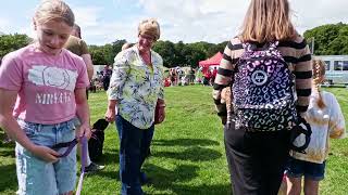 Dog show romilly park aug 2023 Barry