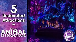 5 Underappreciated Attractions in Disney's Animal Kingdom