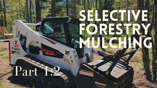 Selective Forestry Mulching Part 1:2