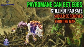 Aberration Payromane Rockdrake Eggs