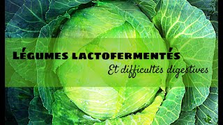 La lactofermentation et difficultés digestives