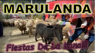 MARULANDA RUTA Y DESFILES FIESTAS DE LA LANA