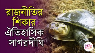 Cooch behar Khabar | অসুস্থ কচ্ছপ, সংশয়ে সাগরদীঘির ভবিষ্যত | Turtle Conservation