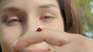 Jumbo - Ladybug