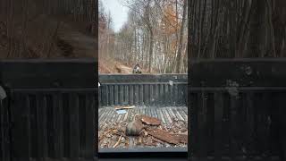 My rearview going down the 45° driveway in Tennessee ￼