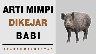 Arti Mimpi Dikejar Babi